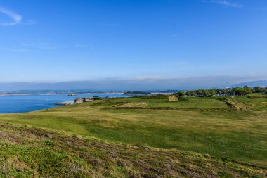 Bitkinin bir parçası, deniz, mavi gökyüzü.