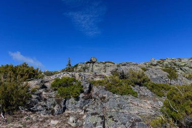 Bölgenin otonom bitkileri, dağların manzarası, bulutlu gökyüzü ve güneşli.