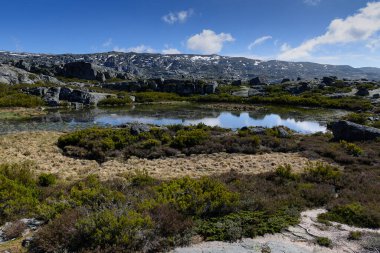 Bölgenin otonom bitkileri, dağların manzarası, bulutlu gökyüzü ve güneşli.