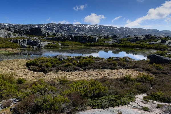 Bölgenin otonom bitkileri, dağların manzarası, bulutlu gökyüzü ve güneşli.