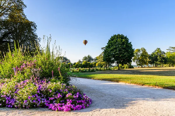 Parkın bitki örtüsü ve sıcak hava balonu manzarası