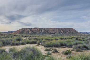 Güneşli bir günde, yarı çöl manzarası..