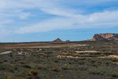 Güneşli bir günde, yarı çöl manzarası..
