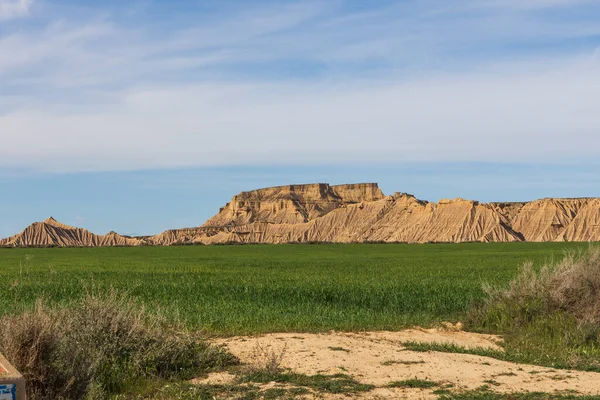 Güneşli bir günde, yarı çöl manzarası..