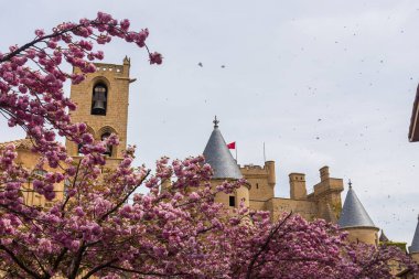 Şehrin tarihi şatosu, bulutlu bir günde.