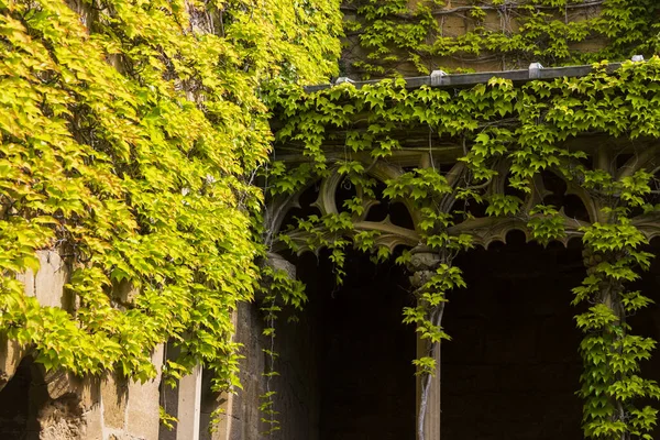 Jardin Château Historique Ville Dans Une Journée Avec Ciel Nuageux — Photo