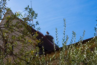 Güneşli bir günde güvertede kuş bakışı