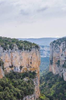 Bulutlu bir günde kayalık uçurum, nehir ve dağ manzarası.