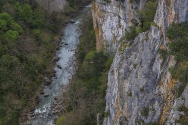 Bulutlu bir günde kayalık uçurum, nehir ve dağ manzarası.