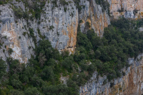 Bulutlu Bir Günde Kayalık Uçurum Nehir Dağ Manzarası — Stok fotoğraf