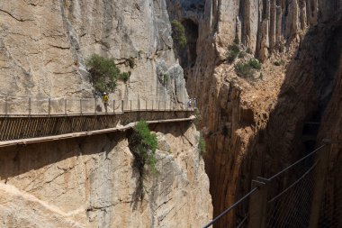 Muhteşem doğal ortam manzarası