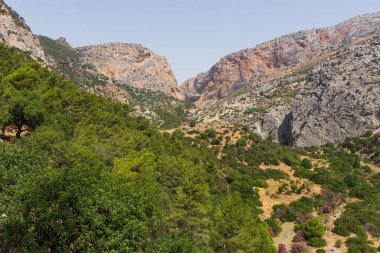 Muhteşem doğal ortam manzarası