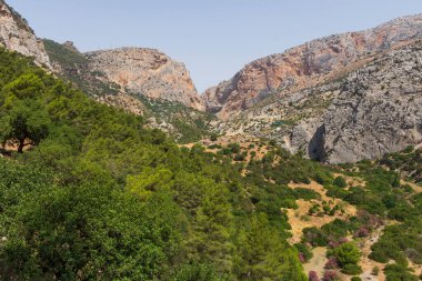 Muhteşem doğal ortam manzarası