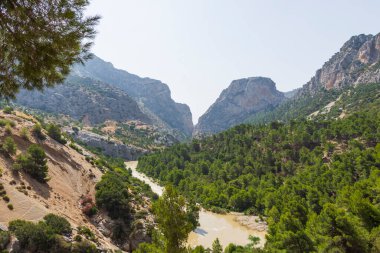 Muhteşem doğal ortam manzarası