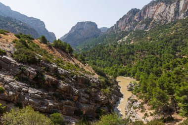 Muhteşem doğal ortam manzarası
