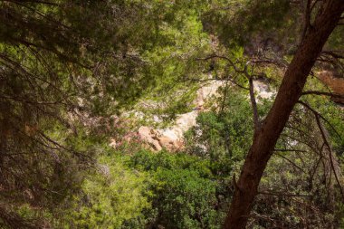 Muhteşem doğal ortam manzarası