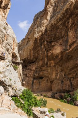 Muhteşem doğal ortam manzarası