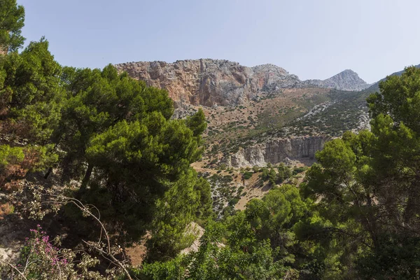 Uitzicht Prachtige Natuurlijke Omgeving — Stockfoto