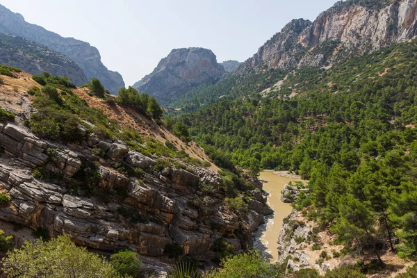 Muhteşem doğal ortam manzarası