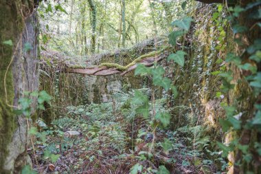Galiçya 'da terk edilmiş bir bina.