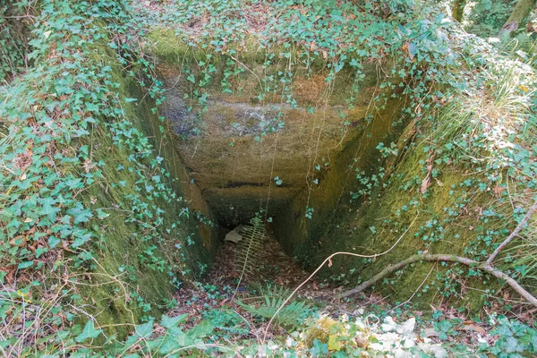 Abandoned Building Forest Galicia — Stock Photo, Image