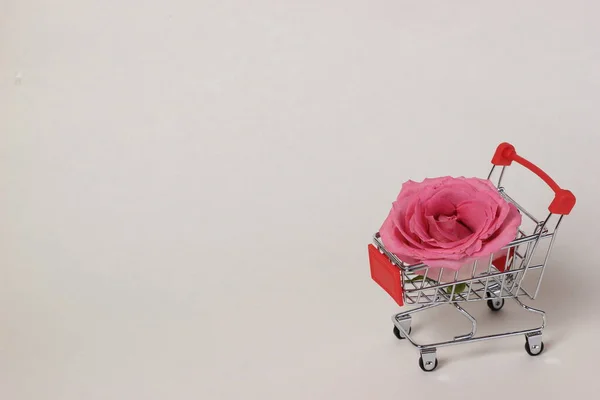 pink rose in a supermarket cart. gift waiting for a woman.