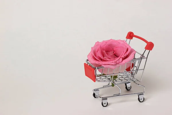 pink rose in a supermarket cart. gift waiting for a woman.
