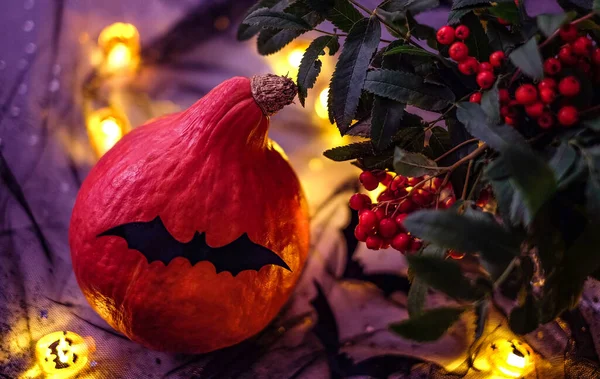 Hallowen украшение дома с тыквой, огни, рябина, летучая мышь — стоковое фото