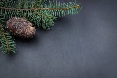 Yeni yıl ve yılbaşı geçmişi. Gri taş arka planda fidan ağacı dalı ve çam kozalağı. Kopyalama alanı olan üst görünüm.