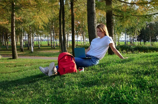 Молода жінка сидить на зеленій траві в міському парку, працює на ноутбуці. Концепція вільного бізнесу, студент, який вивчає на відкритому повітрі — стокове фото