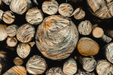 Meşe odunlu odun yığını. Odun yığını ile doğal bir geçmişi var. Dağ hayatı.