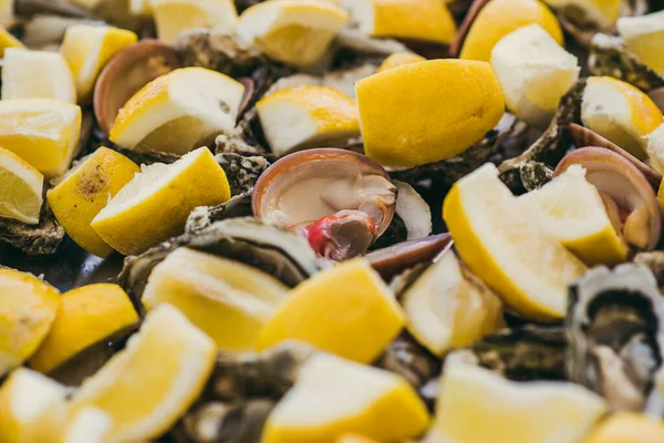 Taze deniz ürünleri salatasını deniz tarağı, kabuklu deniz ürünleri ve limonla kapat. Yaz sağlıklı yiyecekler.