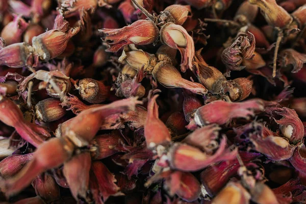 殻で熟したヘーゼルナッツを閉じ込めてフレームを埋める 有機的で健康的で活気のある食品コンセプトの壁紙の使用 — ストック写真