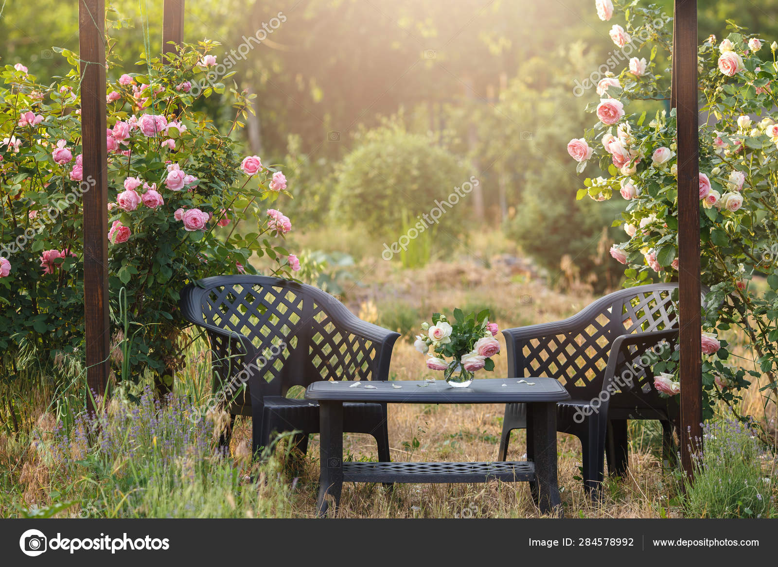 Cozy Garden Patio Under An Arch Of Blooming Roses Comfortable