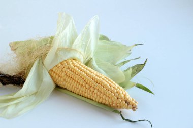 Kopya alanı olan ahşap bir tabakta taze mısır koçanları..