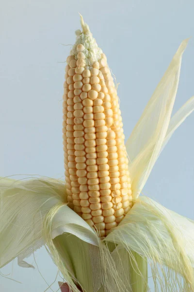 Kopya alanı olan ahşap bir tabakta taze mısır koçanları..