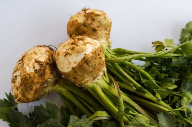 Beyaz arka planda doğal, kereviz bitkisi organik. Yakın plan.