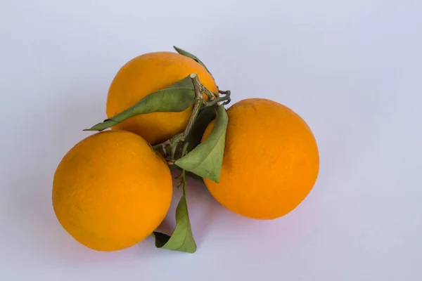 Ripe Fresh Orange White Copy Space — Stock Photo, Image