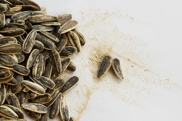 Roasted salted sunflower seeds on white wwith copy space
