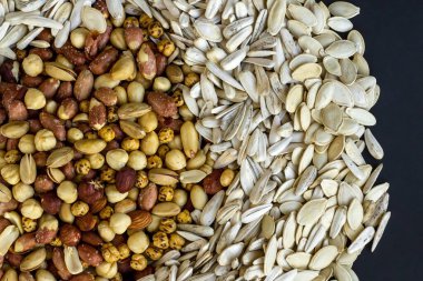 Siyah arkaplanda kabuklu fındık çeşitleri dizayn ettim.