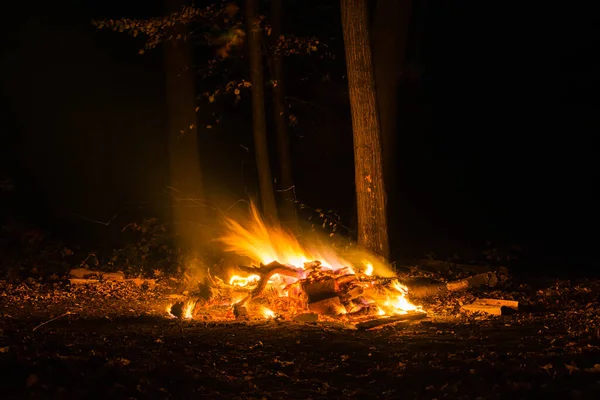 在黑暗的背景下开火 森林篝火 火焰喷射出火花 露营和户外娱乐活动 木头着火了 前排的那个人正在观看火光 尼斯和大气 — 图库照片
