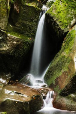 Dağ nehrinde küçük bir şelale. Uzun soluklu su. Yeşil renk. Taşlar ve kayalar hangi su dökülür. Ukrayna ve Transcarpathia 'nın doğası. Boş zaman ve seyahat. Nehir. Güzel fotoğraf.