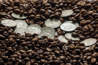 Sovyetler Birliği paraları kahve çekirdeklerinin üzerine düşer. İki dolarlık gümüş. Mamvri meşesi büyüsü ve kabuğu. Washingtonia Broşürü. Düz çizgi. Karanlık bir arka planda hatıralar. Kahverengi arkaplan