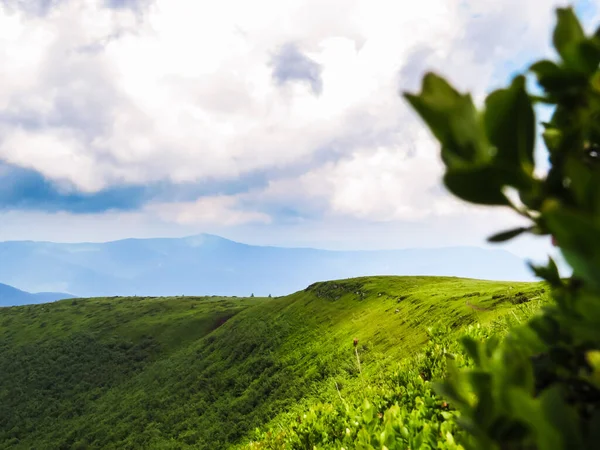 Polonyna Runa Região Transcarpathian Montanhas Primavera Verão Colinas Verdes Céu — Fotografia de Stock