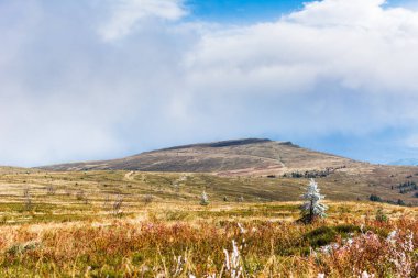 Ukrayna topraklarındaki Karpat dağları. Dağlarda Bahar, Yaz ve Sonbahar. Dağ sıraları ve zirveler. Gökyüzü ve bulutlar. Harabeler ve kayalar