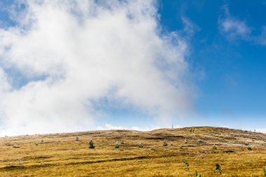Ukrayna topraklarındaki Karpat dağları. Dağlarda Bahar, Yaz ve Sonbahar. Dağ sıraları ve zirveler. Gökyüzü ve bulutlar. Harabeler ve kayalar
