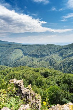 Ukrayna topraklarındaki Karpat dağları. Dağlarda Bahar, Yaz ve Sonbahar. Dağ sıraları ve zirveler. Gökyüzü ve bulutlar. Harabeler ve kayalar