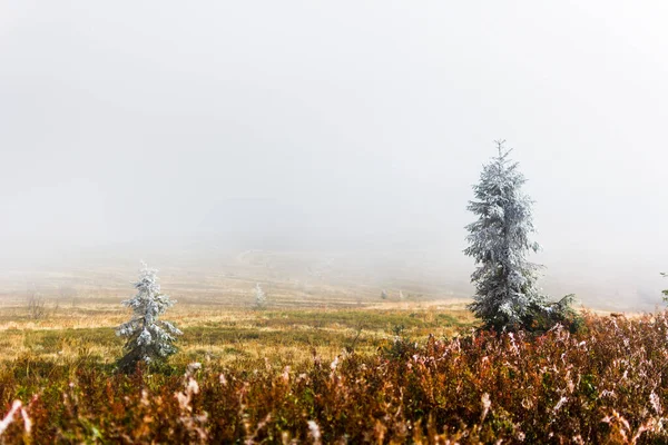 Карпатские Горы Территории Украины Весна Лето Осень Горах Горные Хребты — стоковое фото