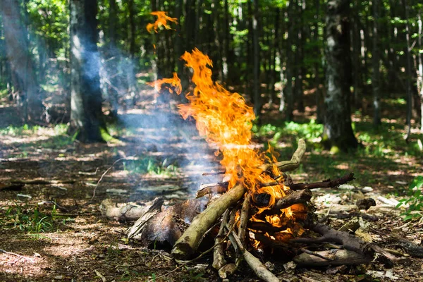 Костер Лесу Пламя Огня Искры Природе Отдых Походы Лето Осень — стоковое фото