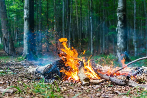 Made Fire Forest Fire Flames Sparks Nature Leisure Camping Summer — Stock Photo, Image